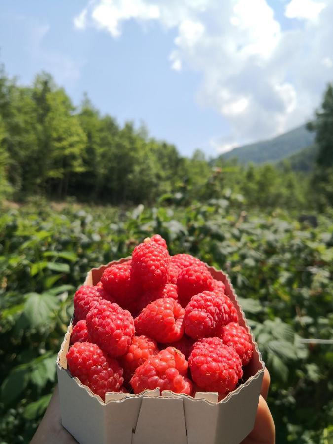 Koliba Pcelica 2 Βίλα Bijelo Polje Εξωτερικό φωτογραφία